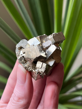 Load image into Gallery viewer, Pyrite Cubic Cluster