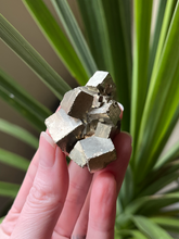 Load image into Gallery viewer, Pyrite Cubic Cluster