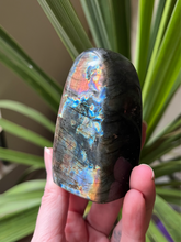 Load image into Gallery viewer, Labradorite Freeform