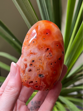 Load image into Gallery viewer, Carnelian Freeform