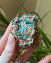 Load image into Gallery viewer, Sugar Malachite