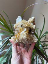 Load image into Gallery viewer, Natural Quartz Cluster