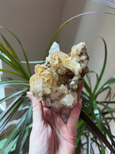 Load image into Gallery viewer, Natural Quartz Cluster