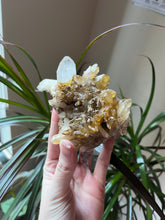 Load image into Gallery viewer, Natural Quartz Cluster