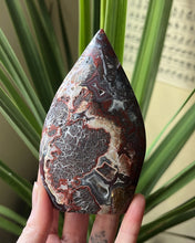 Load image into Gallery viewer, Mexican Crazy Lace Agate