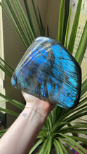 Load image into Gallery viewer, Labradorite Statement - Blue Flash