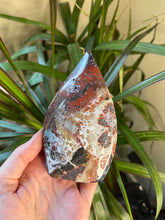 Load image into Gallery viewer, Mexican Crazy Lace Agate