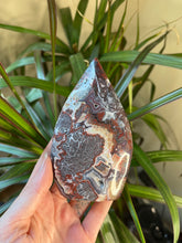 Load image into Gallery viewer, Mexican Crazy Lace Agate