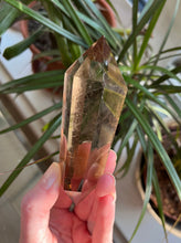 Load image into Gallery viewer, Double Terminated Smoky Rutile Quartz