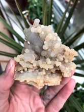 Load image into Gallery viewer, Albino Grape Agate