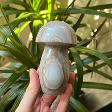 Load image into Gallery viewer, Jasper Mushroom