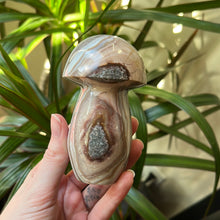 Load image into Gallery viewer, Jasper Mushroom