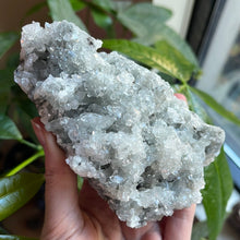 Load image into Gallery viewer, Apophyllite