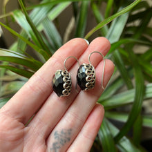 Load image into Gallery viewer, Black Onyx Earrings