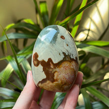 Load image into Gallery viewer, Polychrome Jasper Freeform