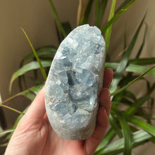 Load image into Gallery viewer, Celestite