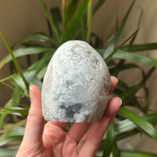 Load image into Gallery viewer, Celestite