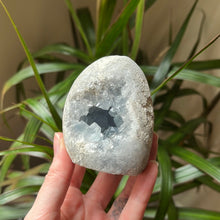 Load image into Gallery viewer, Celestite