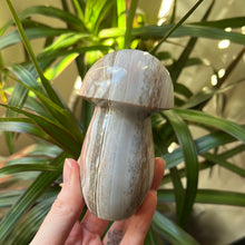 Load image into Gallery viewer, Jasper Mushroom