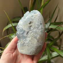 Load image into Gallery viewer, Celestite