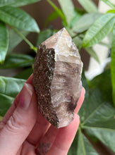 Load image into Gallery viewer, Fluorite w / Pyrite