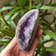 Load image into Gallery viewer, Amethyst Palm Stone