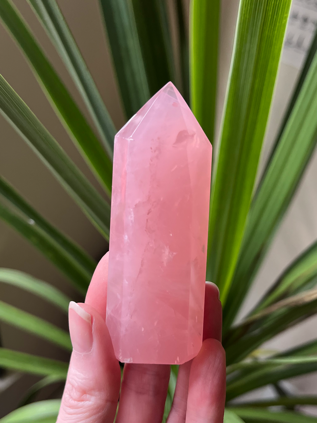 Rose Quartz Tower
