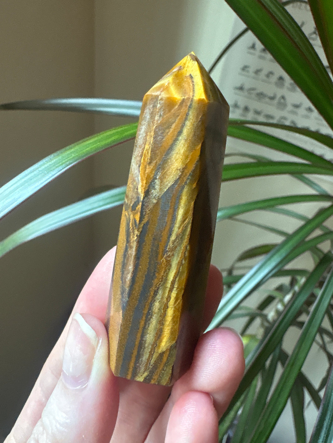 Tigers Eye