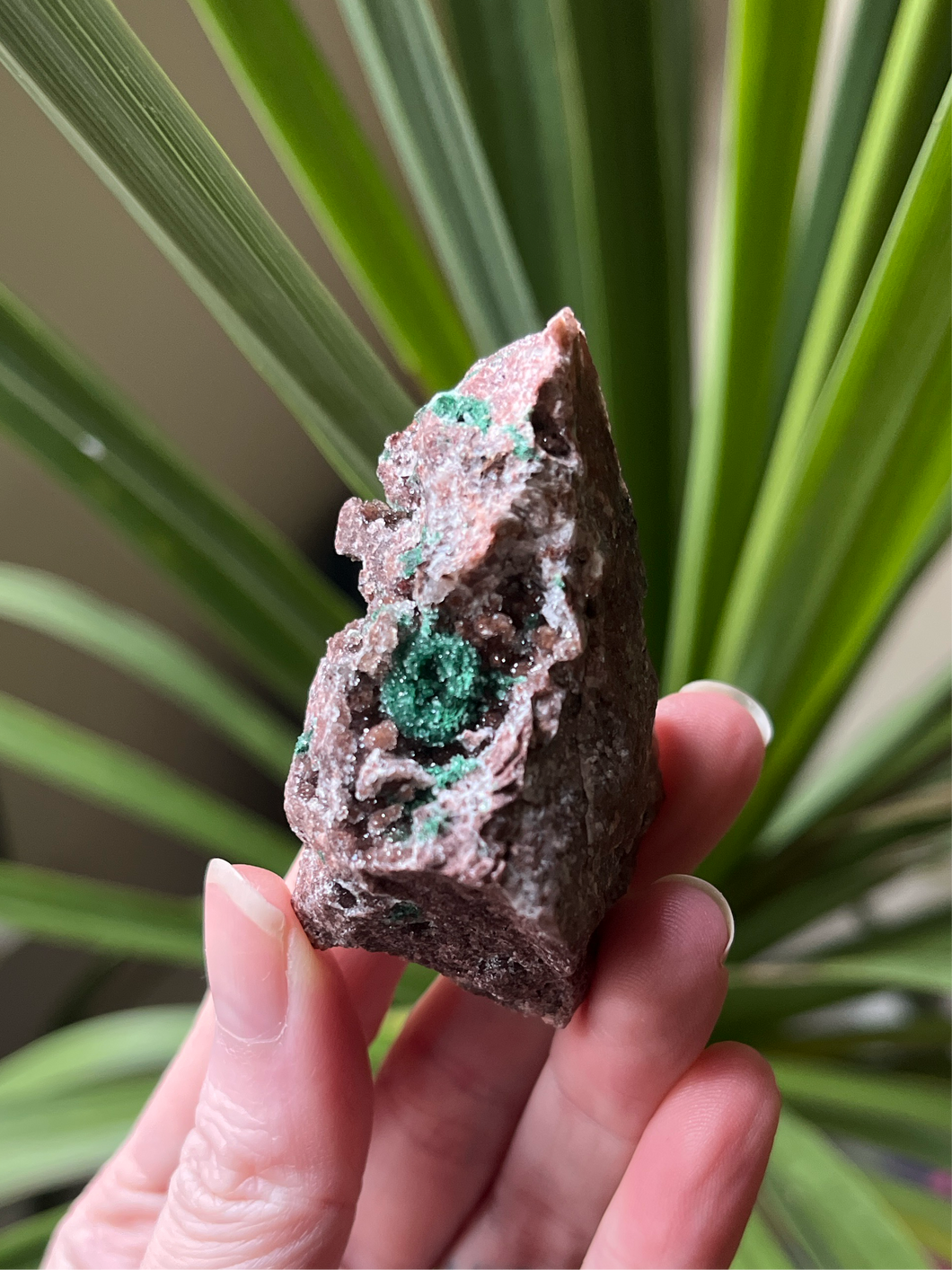 Sugar Malachite