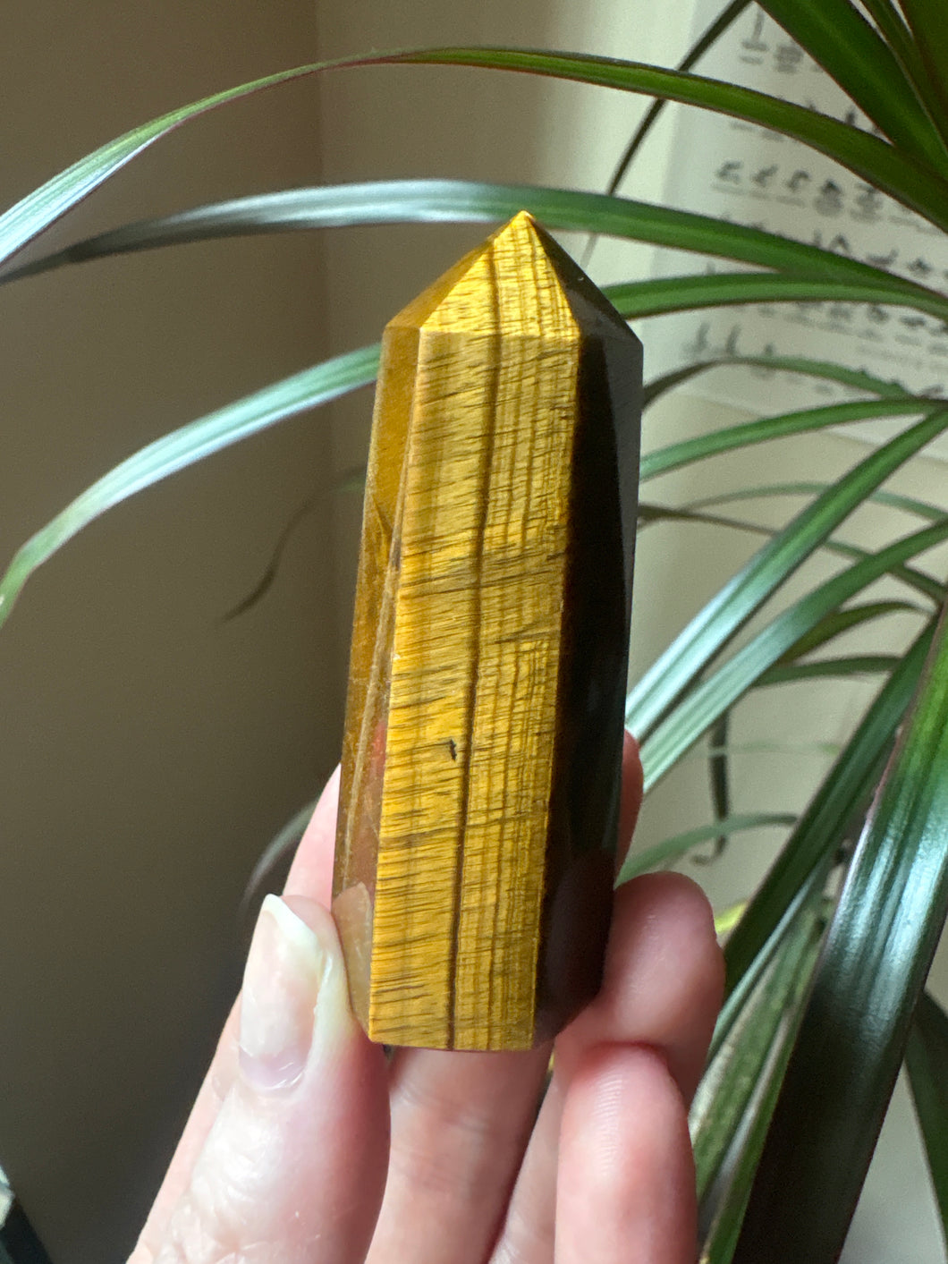 Tigers Eye