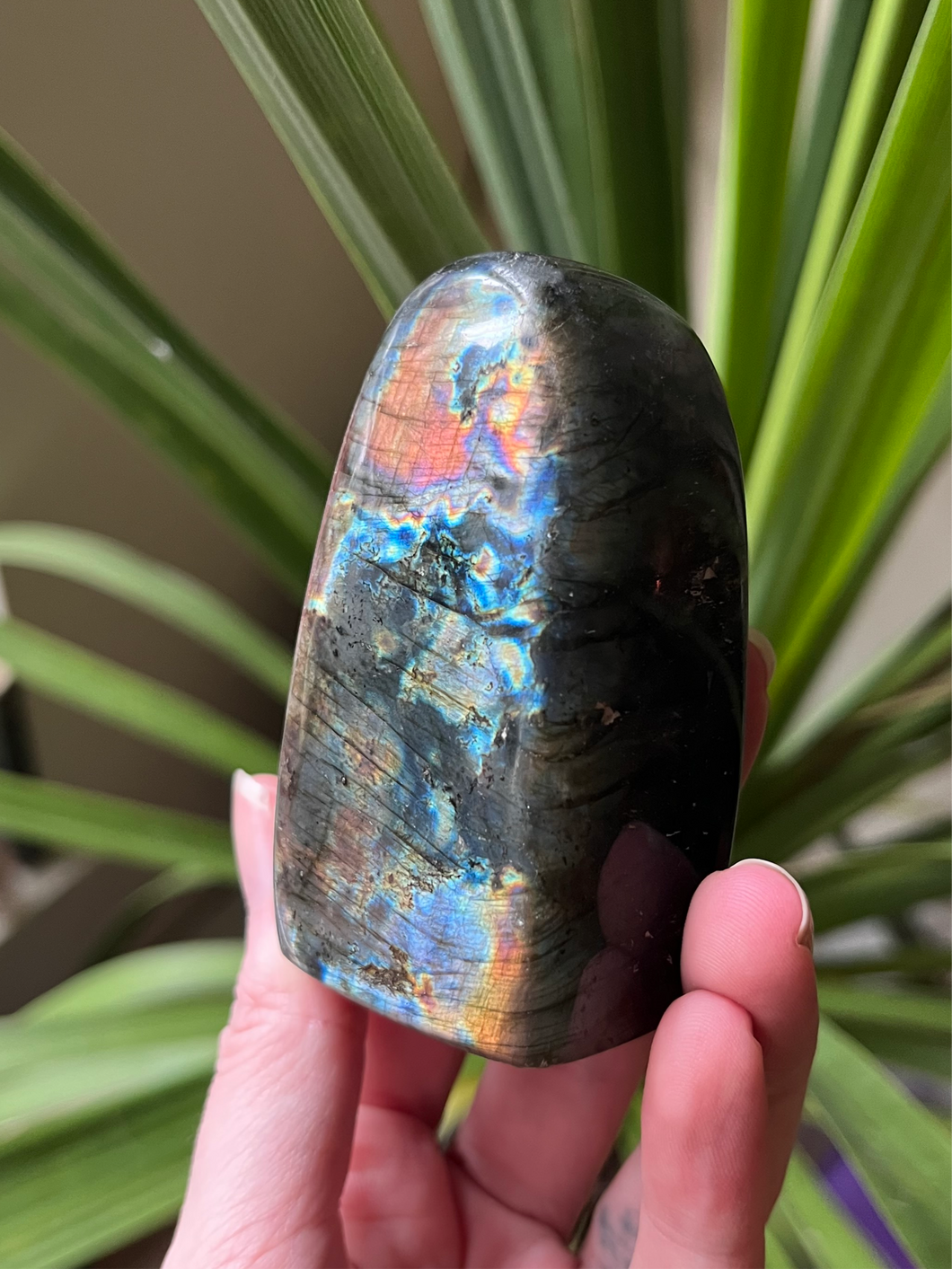Labradorite Freeform