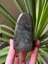 Load image into Gallery viewer, Labradorite Freeform
