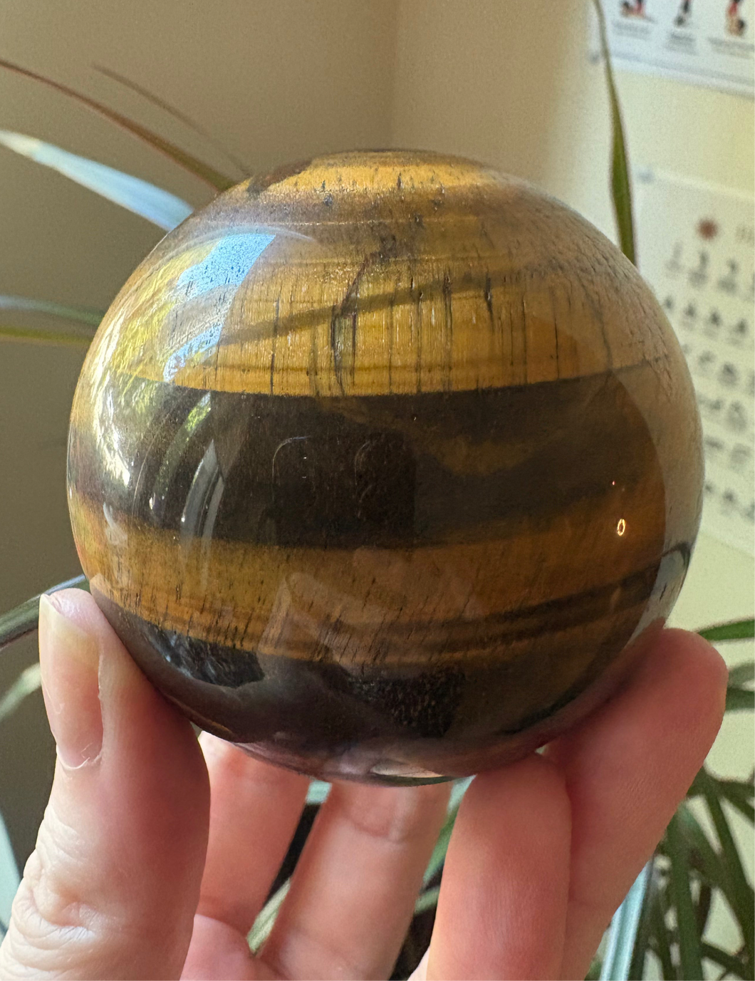 Tigers Eye Sphere