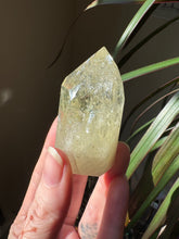 Load image into Gallery viewer, Citrine
