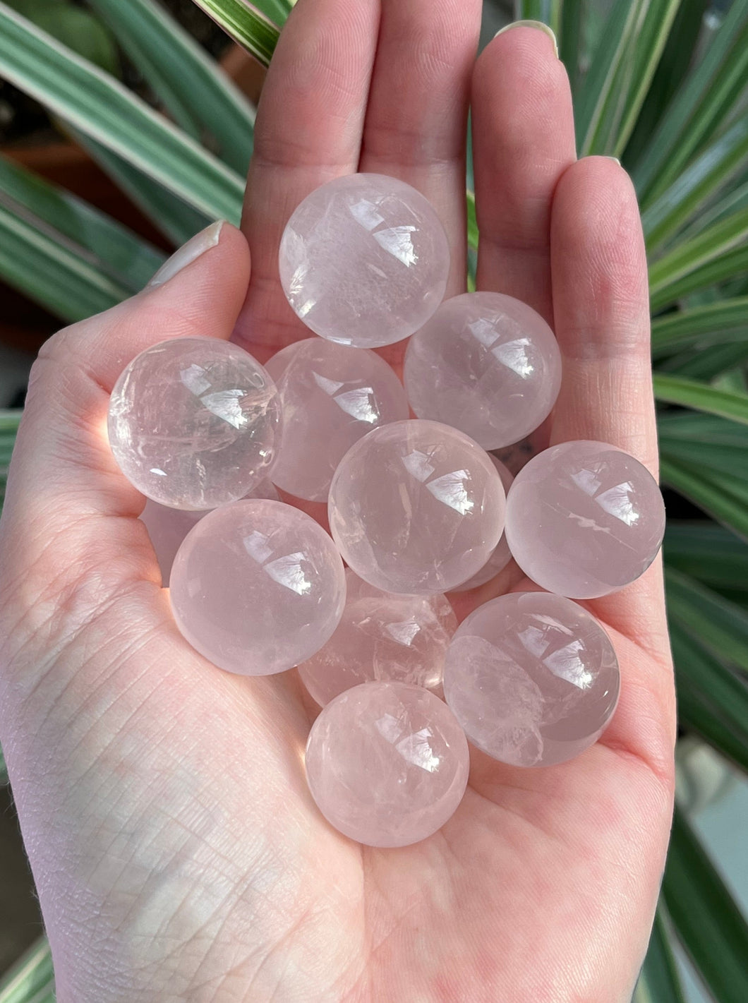 Rose Quartz Sphere - small